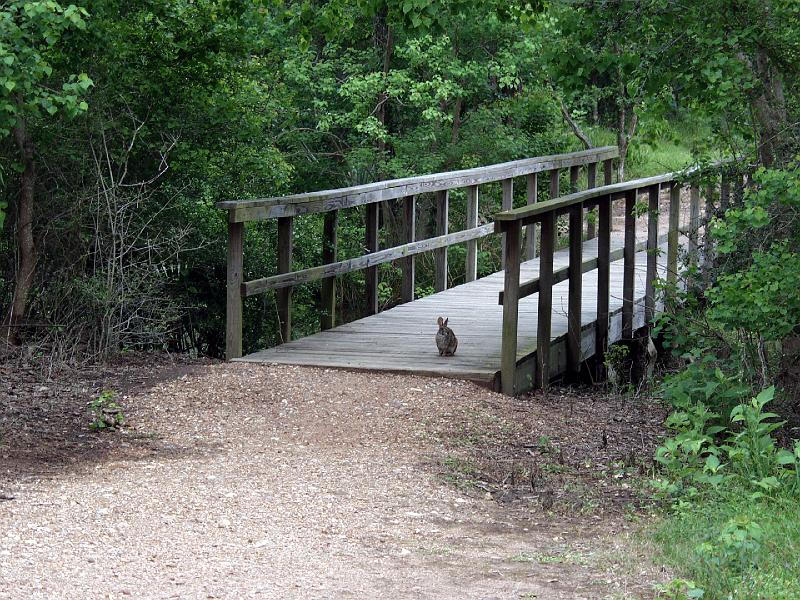 P4244465.JPG - OLYMPUS DIGITAL CAMERA