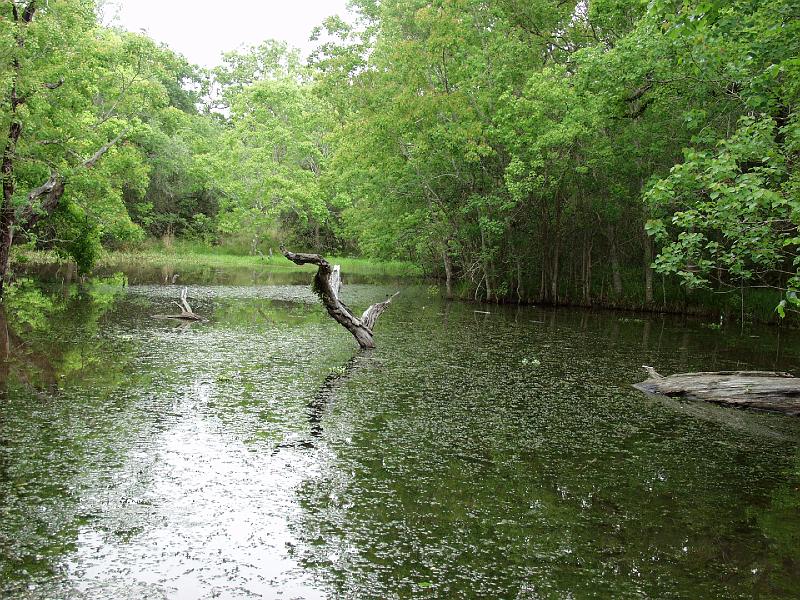 P4244466.JPG - OLYMPUS DIGITAL CAMERA