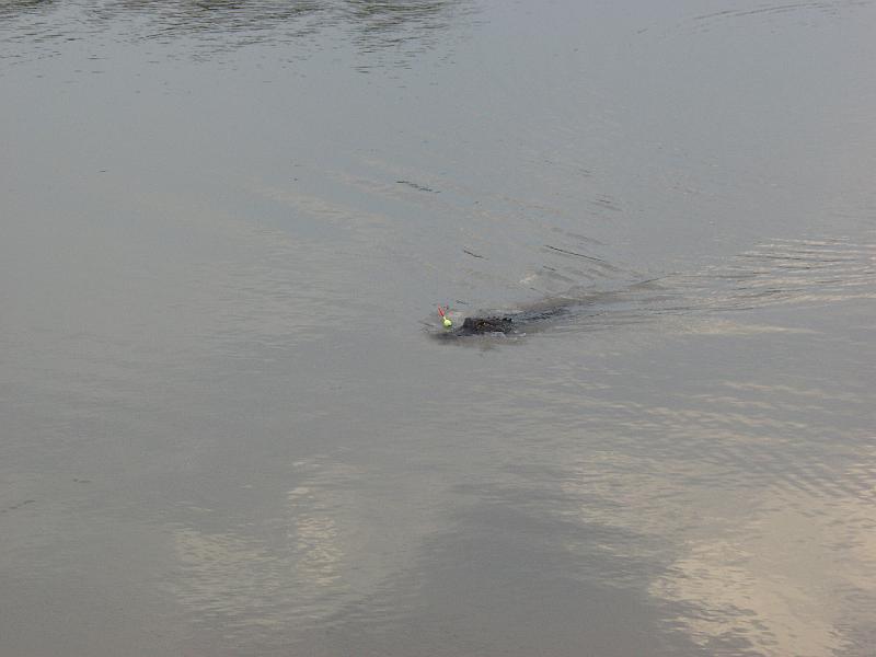 P4244475.JPG - OLYMPUS DIGITAL CAMERA