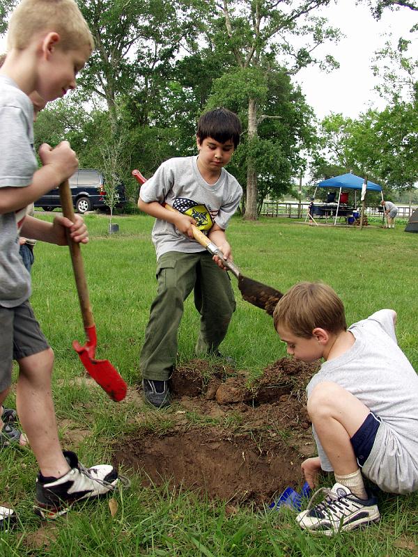 P4244488.JPG - OLYMPUS DIGITAL CAMERA
