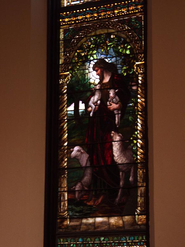 P2283849.JPG - OLYMPUS DIGITAL CAMERA