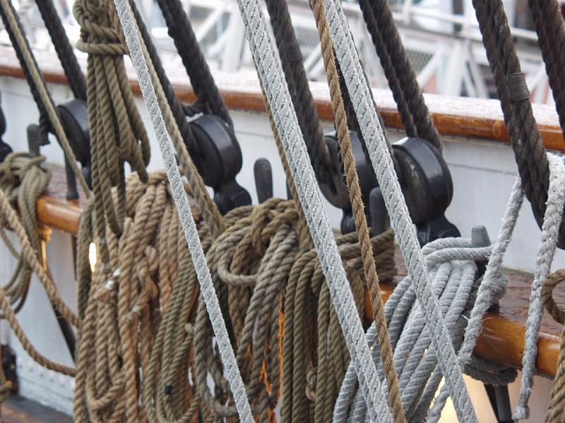 P1253728.jpg - OLYMPUS DIGITAL CAMERA