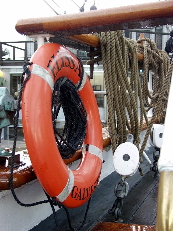 P1253729.jpg - OLYMPUS DIGITAL CAMERA