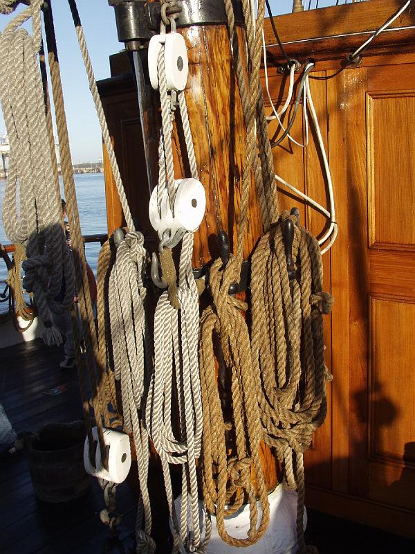 P1253756.jpg - OLYMPUS DIGITAL CAMERA