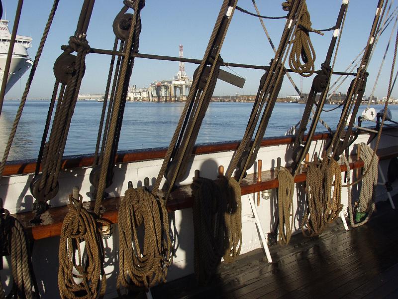 P1253757.jpg - OLYMPUS DIGITAL CAMERA