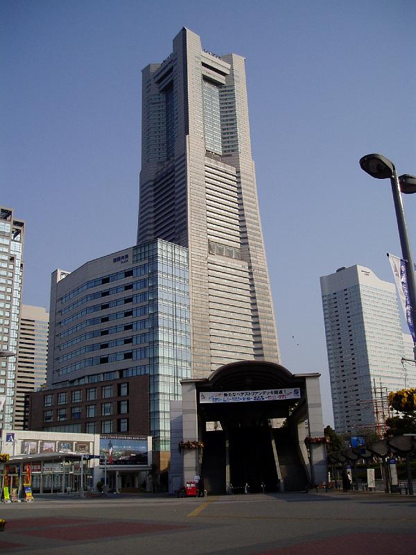 P3130007.JPG - OLYMPUS DIGITAL CAMERA