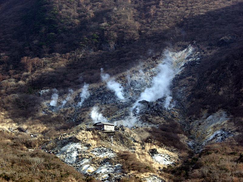 P3143908.JPG - OLYMPUS DIGITAL CAMERA