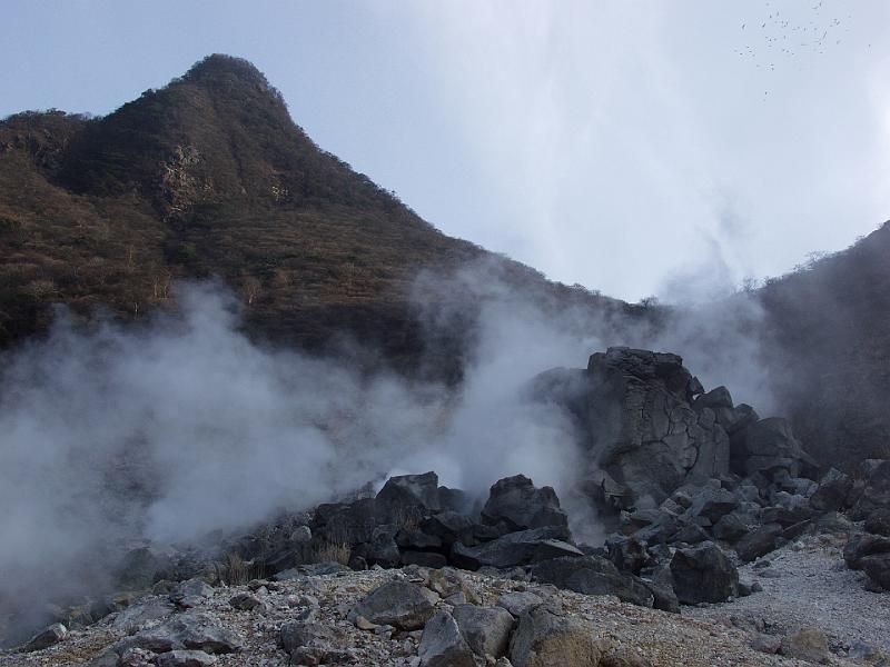 P3143914.JPG - OLYMPUS DIGITAL CAMERA