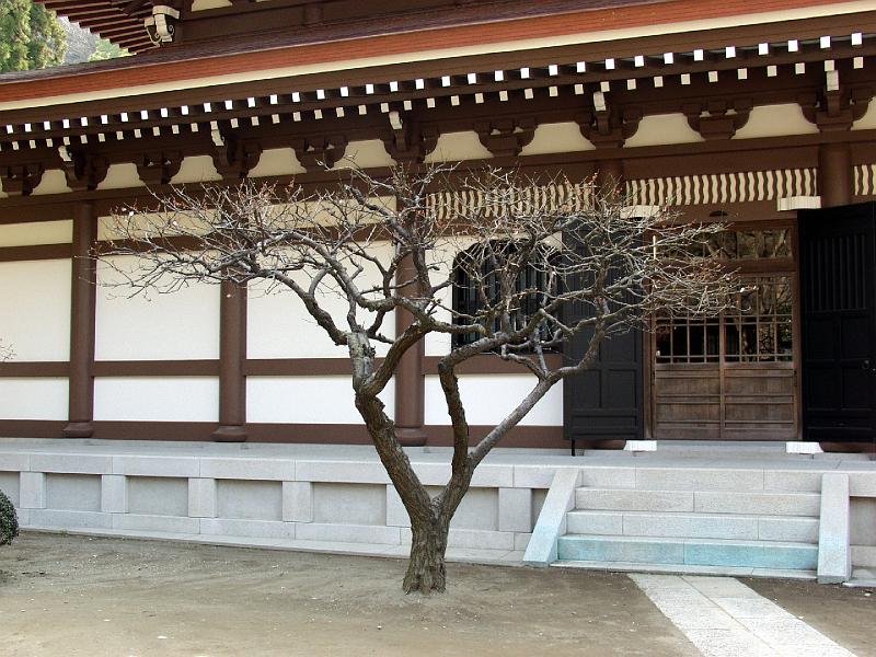 P3143931.JPG - OLYMPUS DIGITAL CAMERA