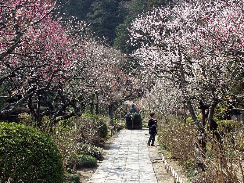 P3143947.JPG - OLYMPUS DIGITAL CAMERA