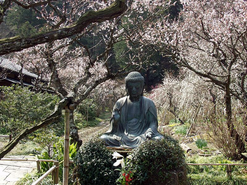 P3143948.JPG - OLYMPUS DIGITAL CAMERA