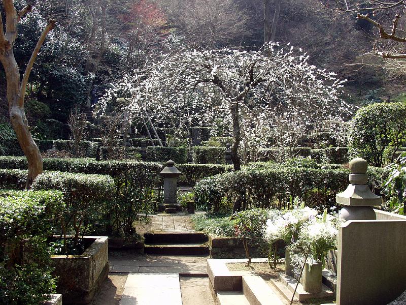 P3143953.JPG - OLYMPUS DIGITAL CAMERA