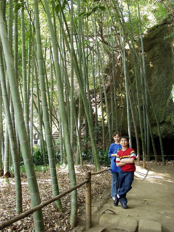 P3143959.JPG - OLYMPUS DIGITAL CAMERA