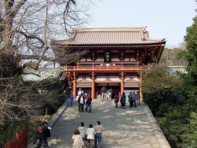 P3153994.JPG - OLYMPUS DIGITAL CAMERA