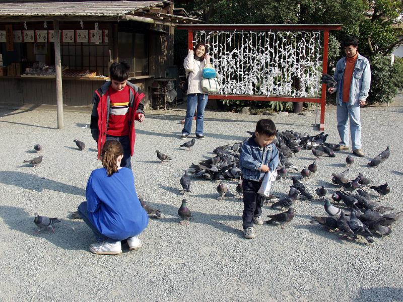 P3153996.JPG - OLYMPUS DIGITAL CAMERA