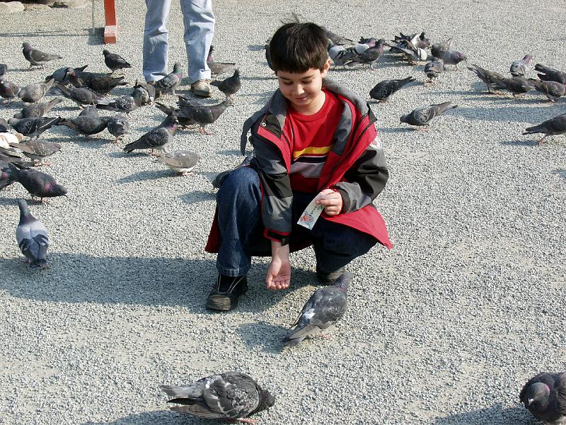 P3153997.JPG - OLYMPUS DIGITAL CAMERA