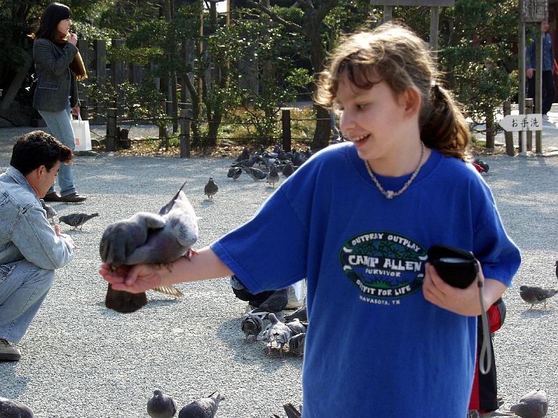 P3153998.JPG - OLYMPUS DIGITAL CAMERA