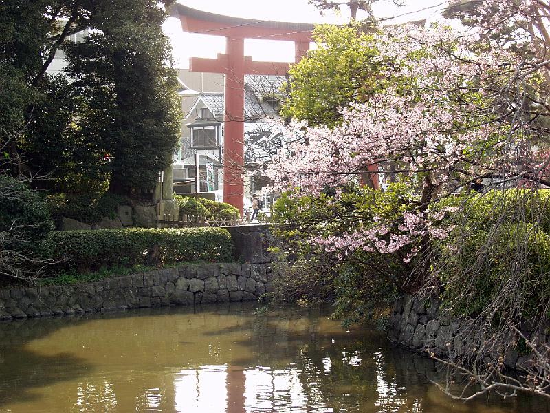 P3154000.JPG - OLYMPUS DIGITAL CAMERA