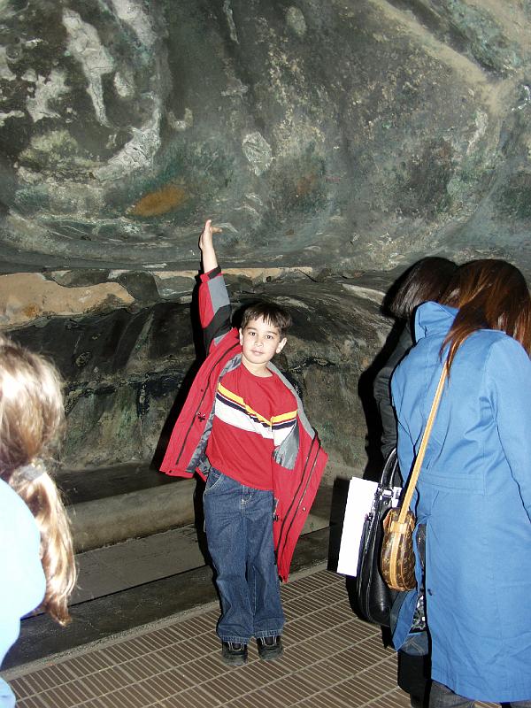 P3154006.JPG - OLYMPUS DIGITAL CAMERA