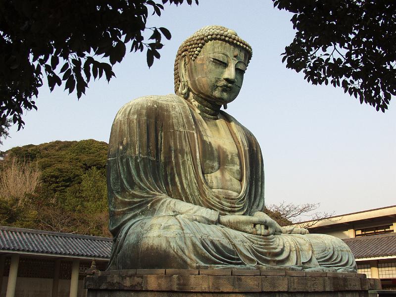 P3154008.JPG - OLYMPUS DIGITAL CAMERA