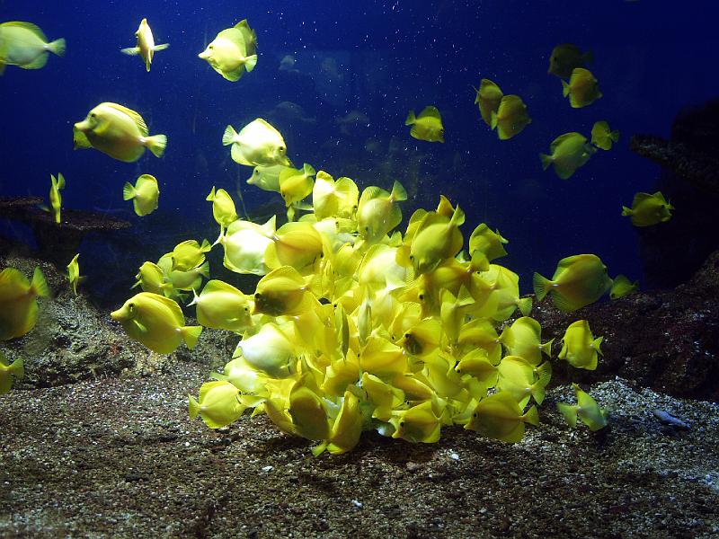 P3154015.JPG - OLYMPUS DIGITAL CAMERA