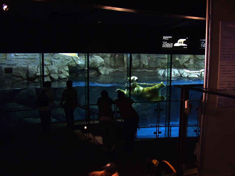 P3154024.JPG - OLYMPUS DIGITAL CAMERA