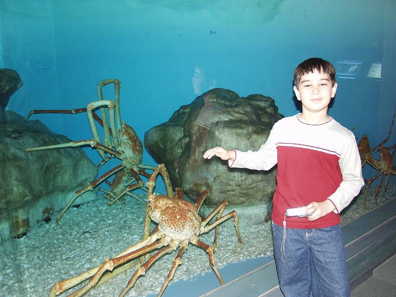 P3154029.JPG - OLYMPUS DIGITAL CAMERA