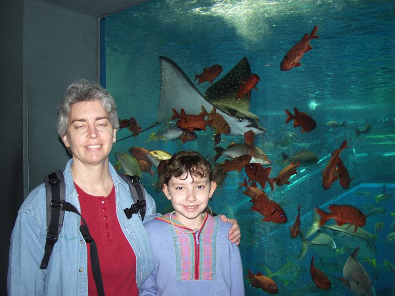 P3154031.JPG - OLYMPUS DIGITAL CAMERA