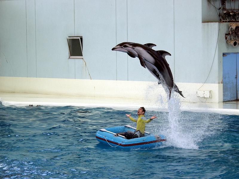 P3154034.JPG - OLYMPUS DIGITAL CAMERA