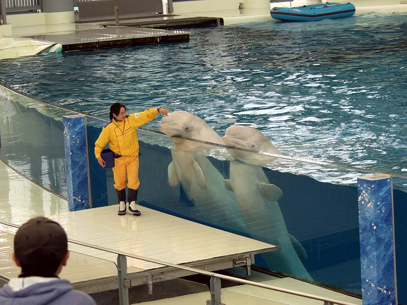 P3154037.JPG - OLYMPUS DIGITAL CAMERA