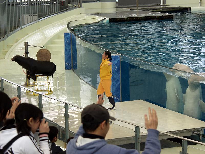 P3154039.JPG - OLYMPUS DIGITAL CAMERA