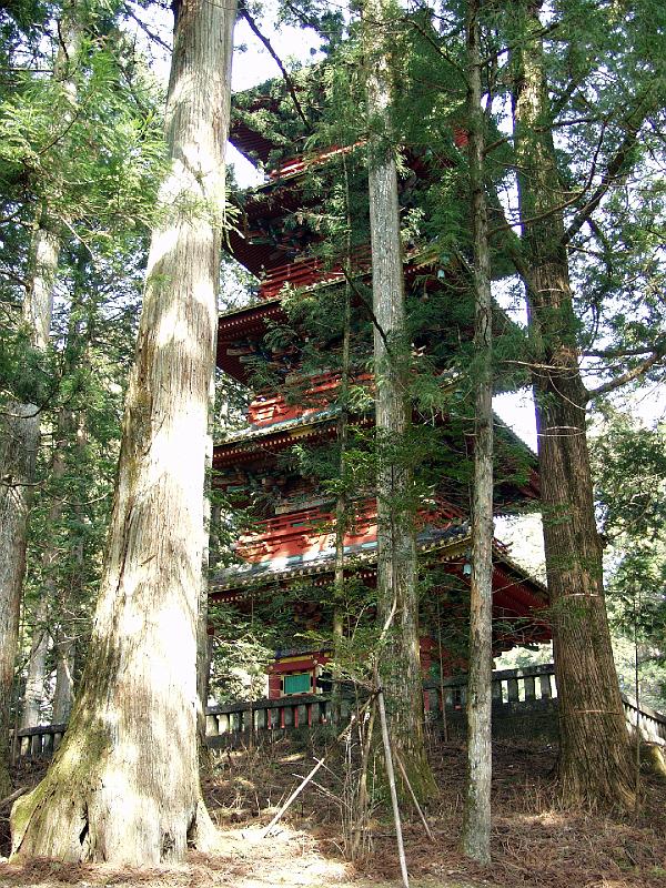 P3164044.JPG - OLYMPUS DIGITAL CAMERA