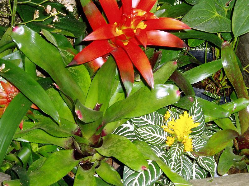 P3170004.JPG - OLYMPUS DIGITAL CAMERA