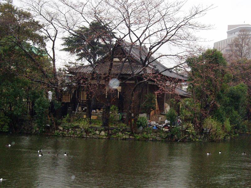 P3170006.JPG - OLYMPUS DIGITAL CAMERA