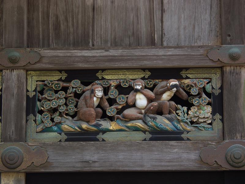 P3174056.JPG - OLYMPUS DIGITAL CAMERA