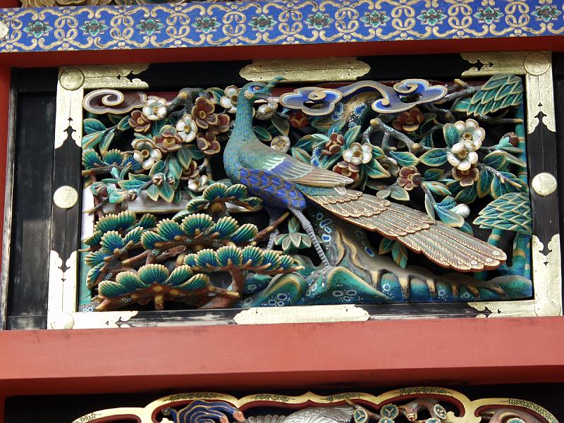 P3174065.JPG - OLYMPUS DIGITAL CAMERA