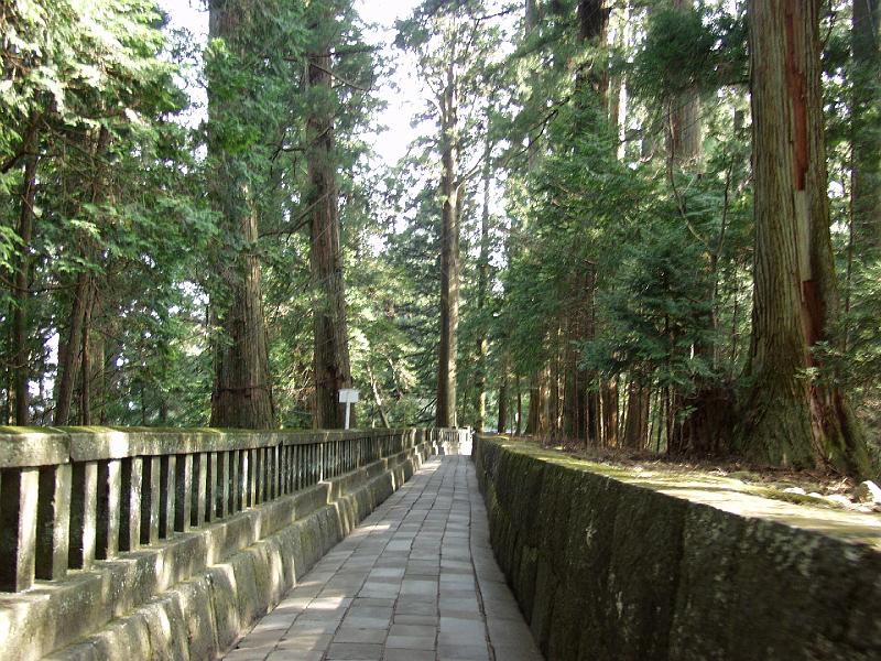 P3174087.JPG - OLYMPUS DIGITAL CAMERA