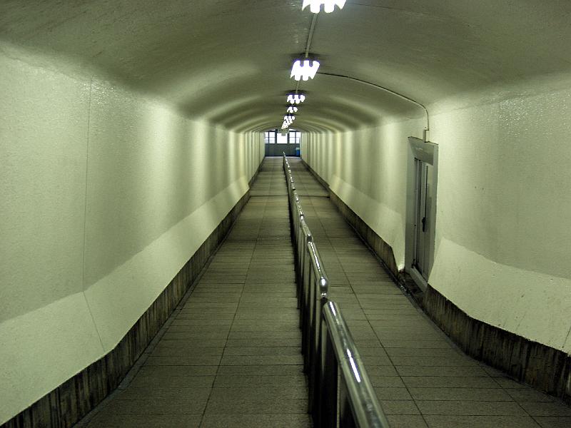 P3174116.JPG - OLYMPUS DIGITAL CAMERA