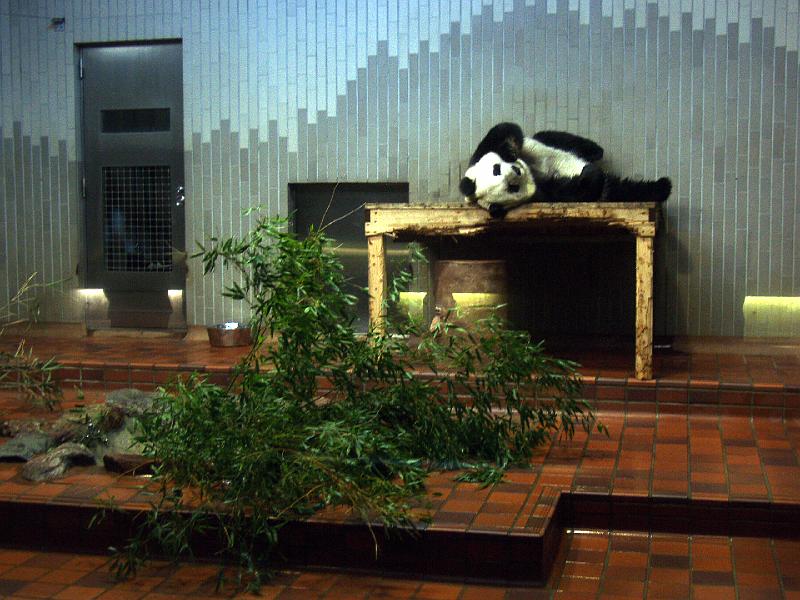 P3174160.JPG - OLYMPUS DIGITAL CAMERA