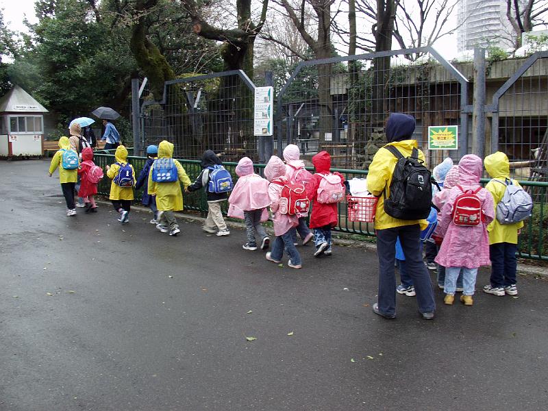 P3174172.JPG - OLYMPUS DIGITAL CAMERA