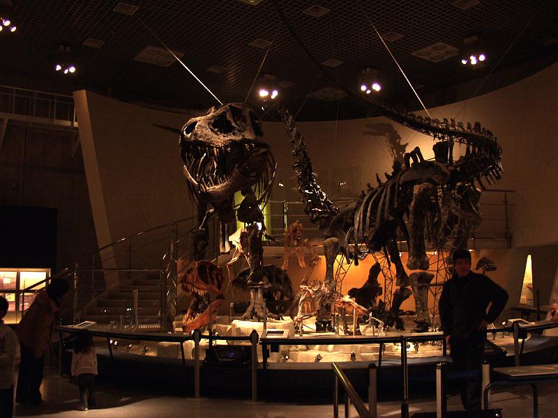 P3184180.JPG - OLYMPUS DIGITAL CAMERA