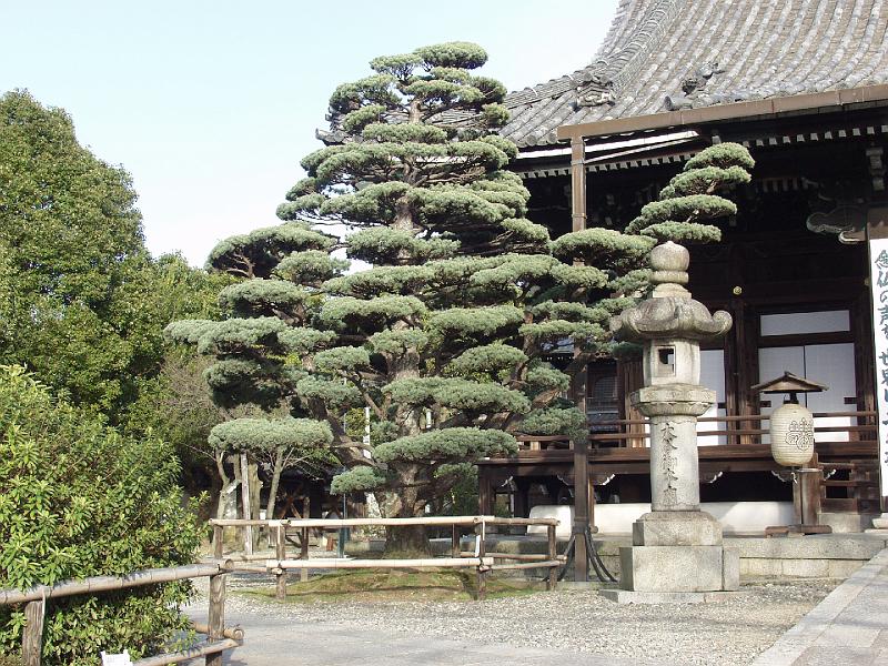 P3194188.JPG - OLYMPUS DIGITAL CAMERA