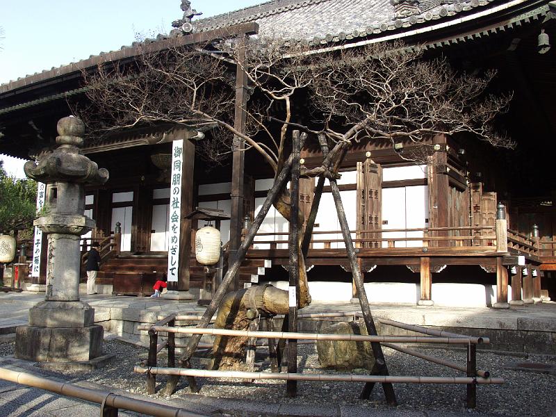 P3194192.JPG - OLYMPUS DIGITAL CAMERA