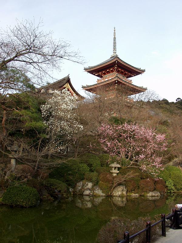 P3194203.JPG - OLYMPUS DIGITAL CAMERA