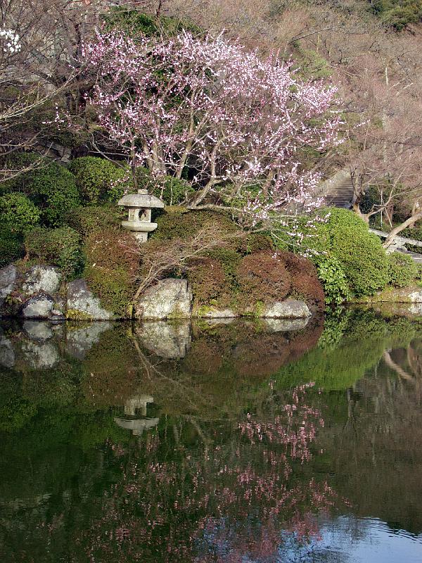 P3194206.JPG - OLYMPUS DIGITAL CAMERA