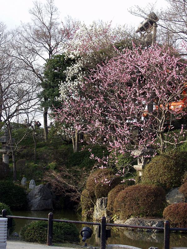 P3194208.JPG - OLYMPUS DIGITAL CAMERA