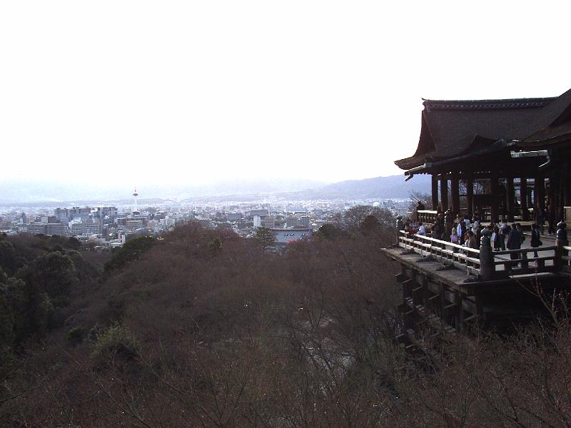 P3194224.JPG - OLYMPUS DIGITAL CAMERA