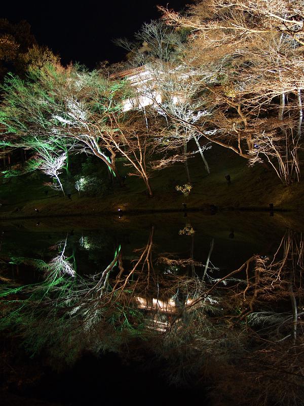 P3194255.JPG - OLYMPUS DIGITAL CAMERA