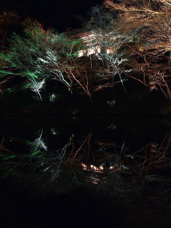 P3194256.JPG - OLYMPUS DIGITAL CAMERA