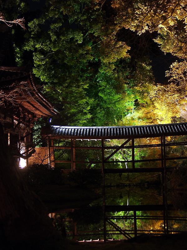 P3194260.JPG - OLYMPUS DIGITAL CAMERA